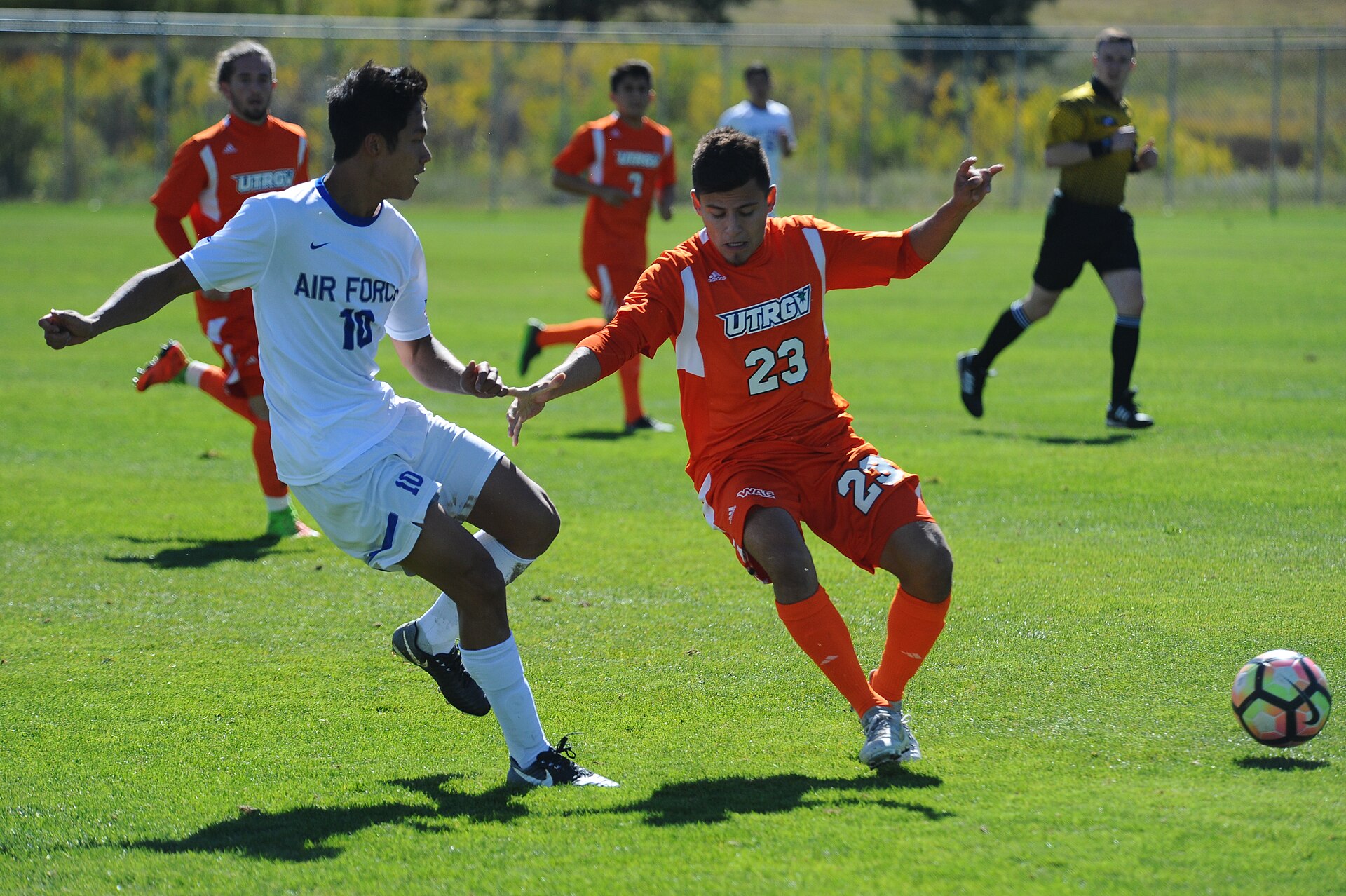 体育场景配图（资料示意）